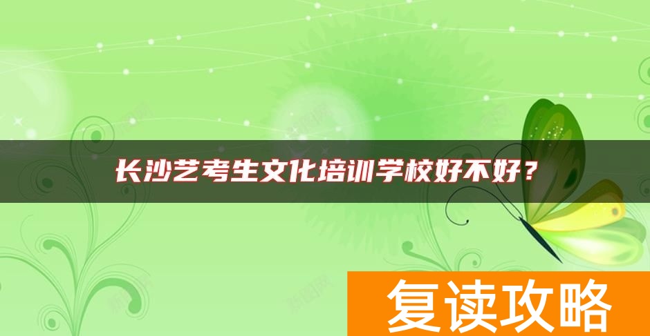长沙艺考生文化培训学校好不好?