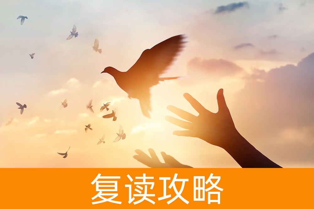 复读效果分析：高三复读生平均提高多少分?