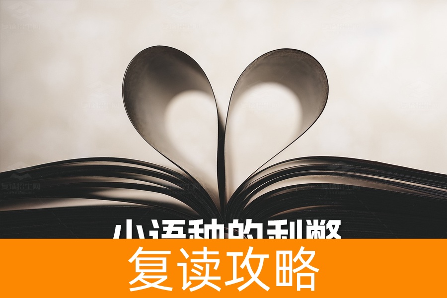 高考外语选小语种的利弊分析:全面解读与决策指南